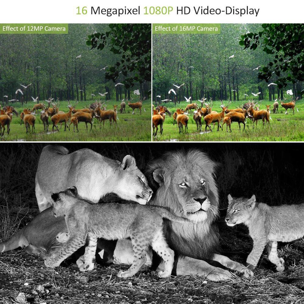 1080p Tracking Camere Drahtlose 12mp Jagd Spiel Kamera Nachtsicht Outdoor Mini Wildlife Scouting Kamera Wasserdicht