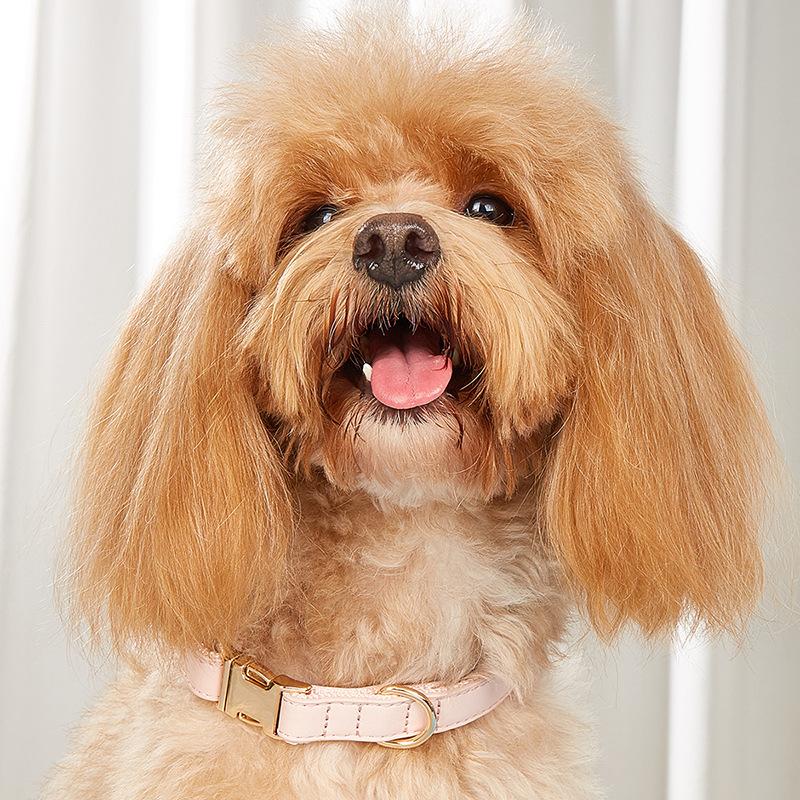 Dog Collar Candy Color Retro Cat Collar Small and Medium Dog Pet Dog Collar