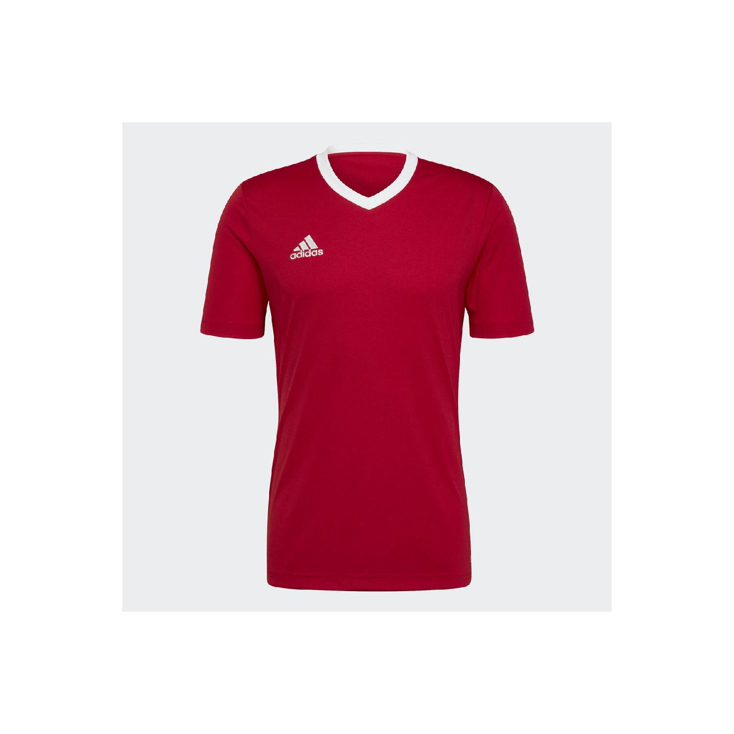 

Энтрада 22 Джерси S красный