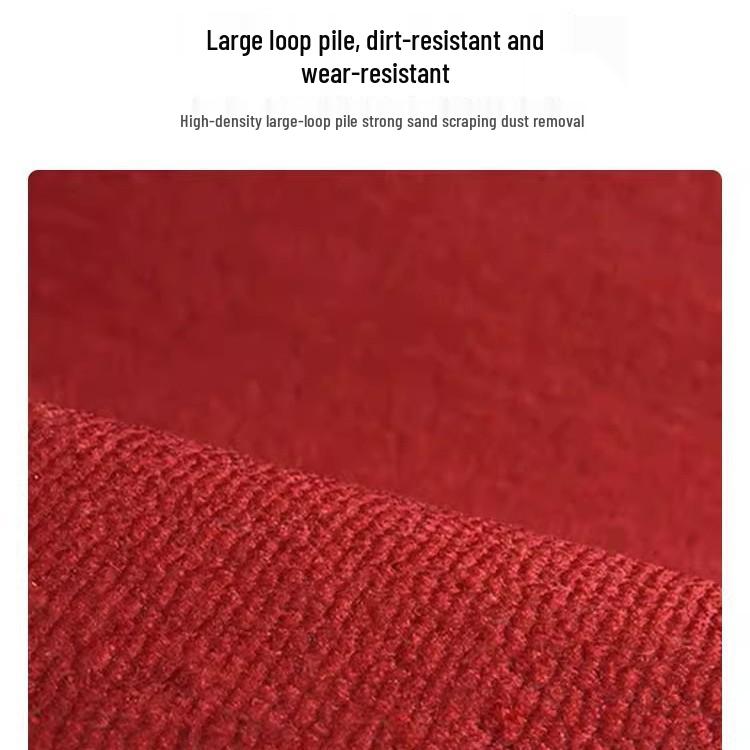 High-End Anti-Slip Entrance Mat: Dirt-Resistant, Dust-Removing Hallway Rug