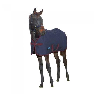 Weatherbeeta Standard-Neck 220g Horse Turnout Rug