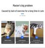 Cat & Dog Fitness Wheel: Exercise Treadmill & Climbing Toy
