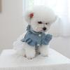 Dog Cat Clothes Cute Modern Texas Cowboy Skirt Pet Dog Cat Apparel Fashionable Outfit