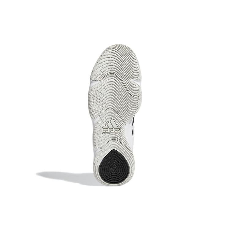 Adidas Pro N3XT 2021 'White Black' GW0147