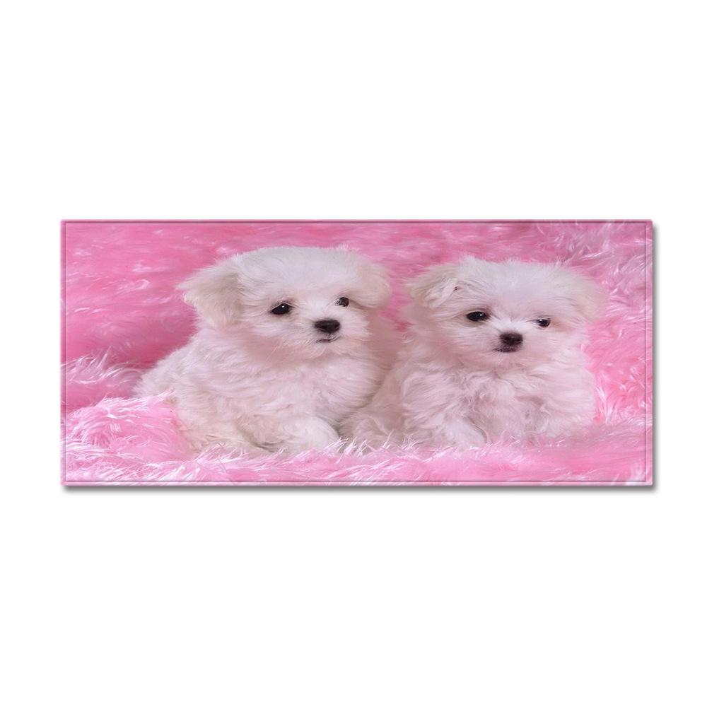 Animal Sand Wardrobe Shoe Cabinet Long Floor Mat