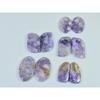 18-20MM Natural Purple Charoite Matched Pair Mix Loose Gemstone 5Pair Lot C-948