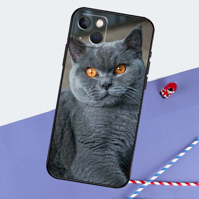 Beautiful Grey British Shorthair Cat Phone Case For iPhone 16 Pro Max 11 13 14 15 Pro Max 12 Mini XR 16 15 Plus 16e Back Cover