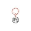 Charms - Cyrkonia - Rose Gold - D-010