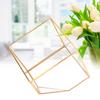 Gold Geometrische Form Sukkulenten Pflanze Blumentopf Glas Pflanzgefäß Landschaft Heim Tischdekoration