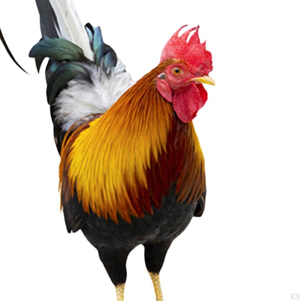 Kovová zahradní socha majestátního kohouta pro venkovní výzdobu