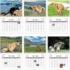 Roliga Hundar Kalender 2026 Bajsar på Vackra Platser Skämtpresenter Årlig Månadsplanerare & Dagboksschema Organiserare Väggkalender