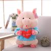 Hugging Heart Pig Plush Toy Cartoon Soft Filling Doll Couple Confession Gift