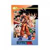 Dragon Ball Maxi Printed Goku Poster