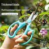 Stainless Steel Florist Pruning Shears: Rose, Tree Branch & Flower Scissors, Multifunctional Garden Tools