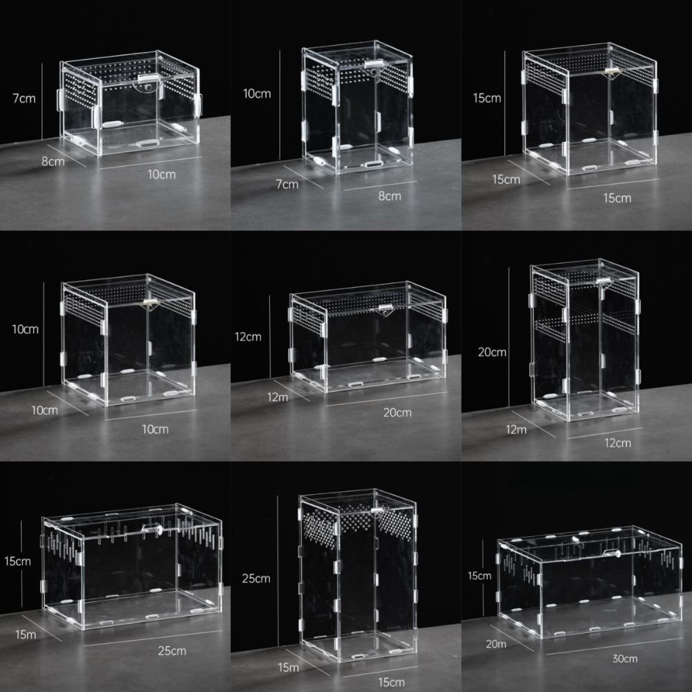 Anti-Escape Reptile Habitat Clear Spider Feeding Case Durable Lizard Breeding Box  for Chameleon