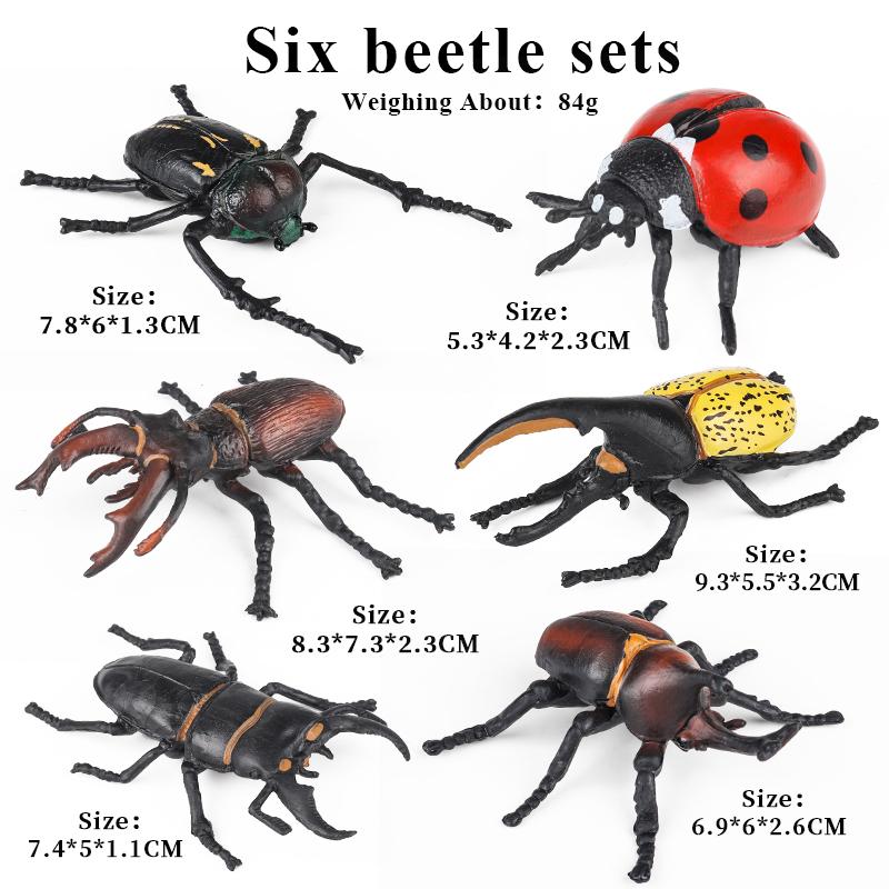 Oenux Wild Insect Animals Model Mantis Grasshopper Butterfly Bee Beetle Action Figures PVC Science Education Collection Kid Toy
