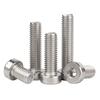 Stainless Steel Thin Head Hex Socket Screws