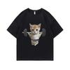 Funny Fitness Cat Graphic TShirt Unisex Cute Gym Pump Cover Tee Unisexs Loose Meme TShirt Short Sleeve WOMEN And Unisex Tshirt