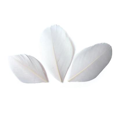 50 Cut Feathers - White 6 Cm