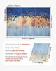 6 Pack Art Acoustic Panels 23.6 X 23.6 Inch Self Adhesive for Home Pastel