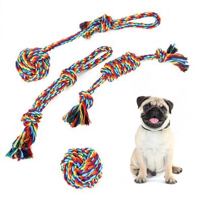Cani – Giocattoli per cani