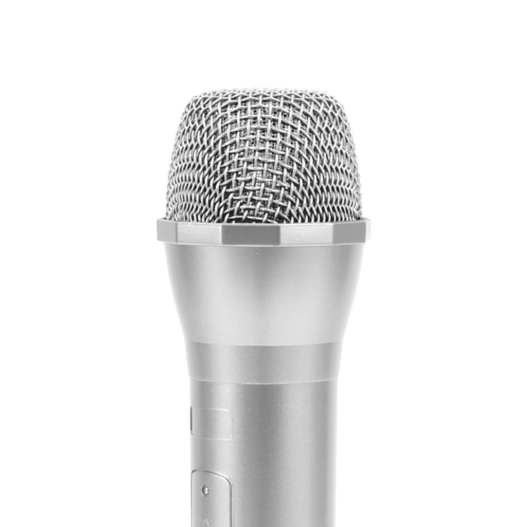 Microfon Ușor de Cântat, Microfon Fals pentru Karaoke și Petreceri (Argint)
