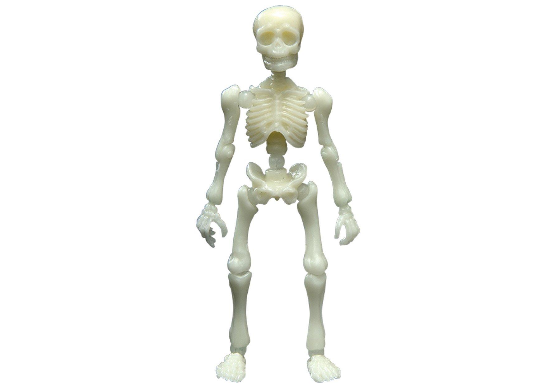 

Pose Skeleton Human 01 Human Color Series Lime Green Luminous Green