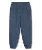 POLYGRAM 600G Pigment Elastic Waist Jogger Pants - 6 Colors (B Type)