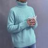 Women's Plus Size Turtleneck Sweater for Fall and Winter