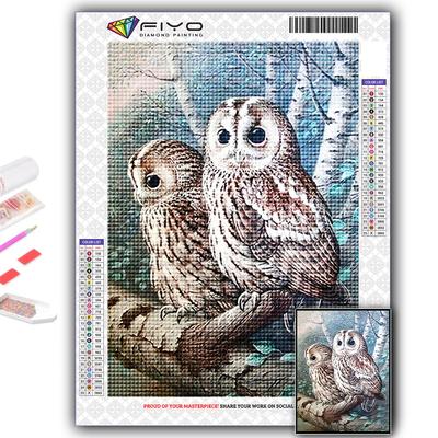 5D Diamond Painting Animal Owl DIY Diamond Embroidery Rhinestone Home Decoration