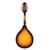 IRIN Tibetan Eight-String Ethnic Mandolin Instrument