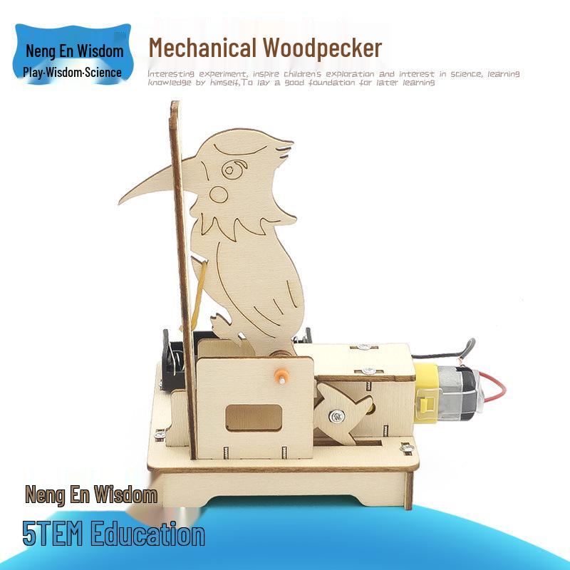 DIY Craft Model Kit for Students: Educational Assembly Toy for Primary and Secondary Learners