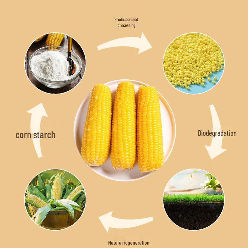 Degradable Corn Starch & Bamboo 4-Compartment Food Container