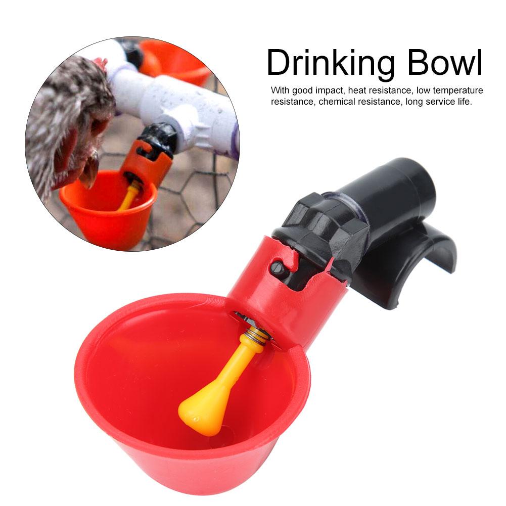 Automatic Drinking Bowl Water Drinker Fluid Cup Farm Tool for Quail Chicken Livestock