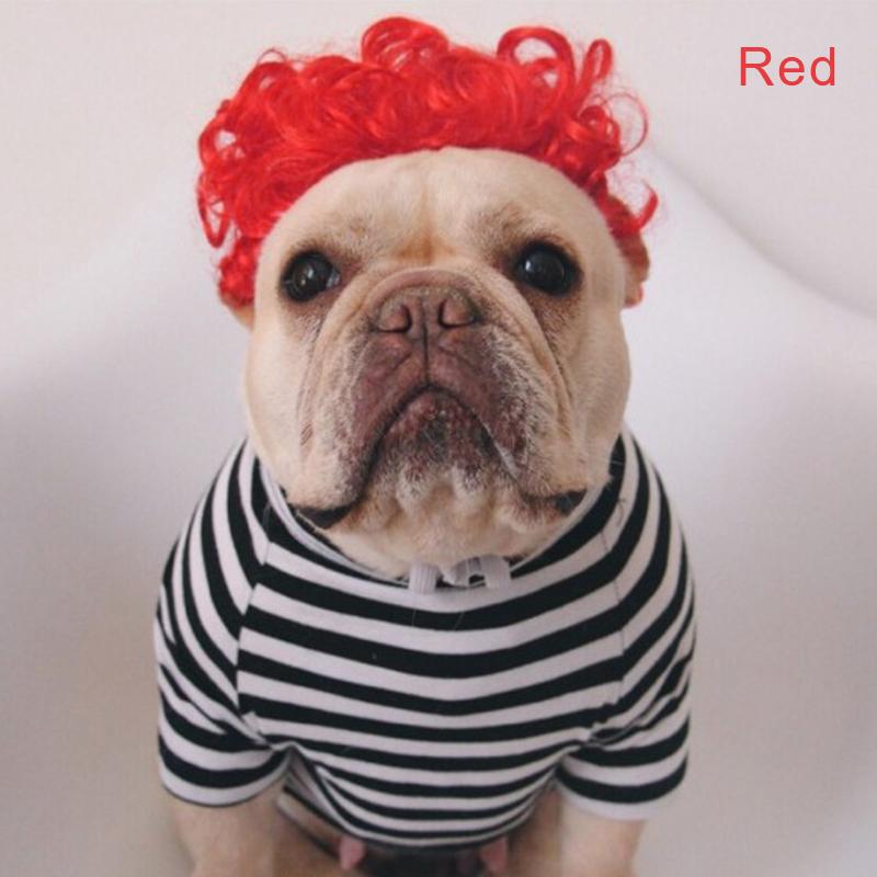 red wig for dog