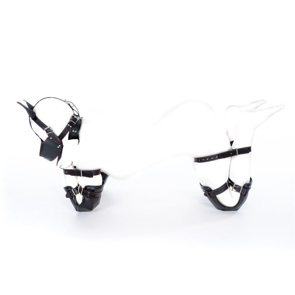 Five-Piece Kinky Pet Play Set: Crawling Suit, Kneeling Gloves, Dog Headgear, Knee Pads, Limb Restraints