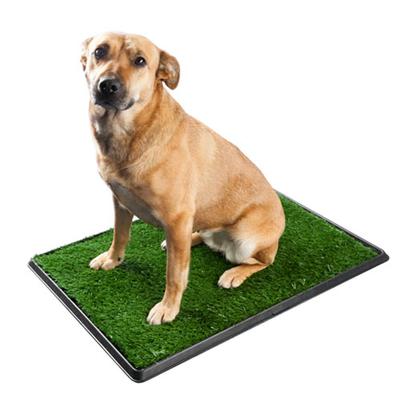 Dog Toilet - Large