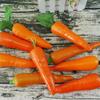 Artificial Carrots 6PCS Mini Carrots Fake Vegetable Display for Dollhouse