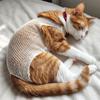 Bandaj Elastic din Plasă pentru Animale de Companie Respirabil Previne Zgârieturile Plasă Sterilizată Acoperire Previne Linsul Costum de Recuperare pentru Animale Salvare Animale