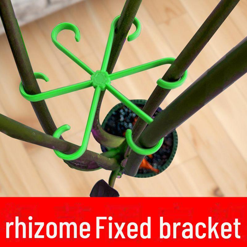 Monstera Hydroponic Support Bracket for Plants