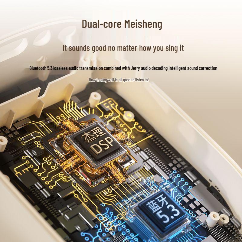 Soaiy SK68 Portable Wireless KTV Speaker & Dual Microphones with AI Voice Assistant CN Plug (adapter Included)