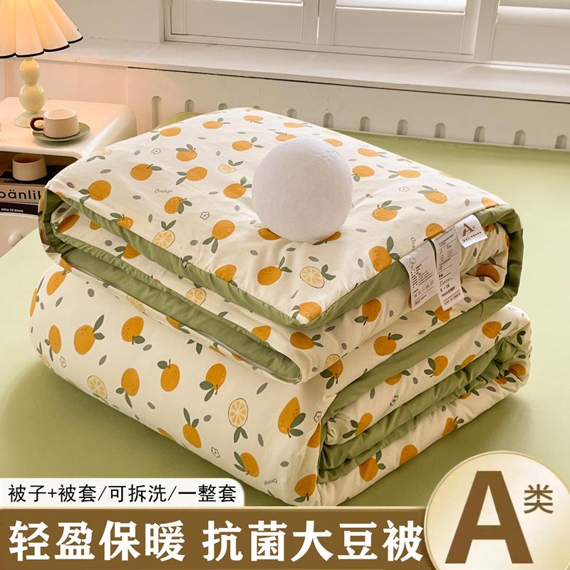 Sleeping Grid Printed Washed Cotton, Removable and Washable Soybean Fiber Quilt Core, Winter Quilt, Spring and Autumn Quilt
