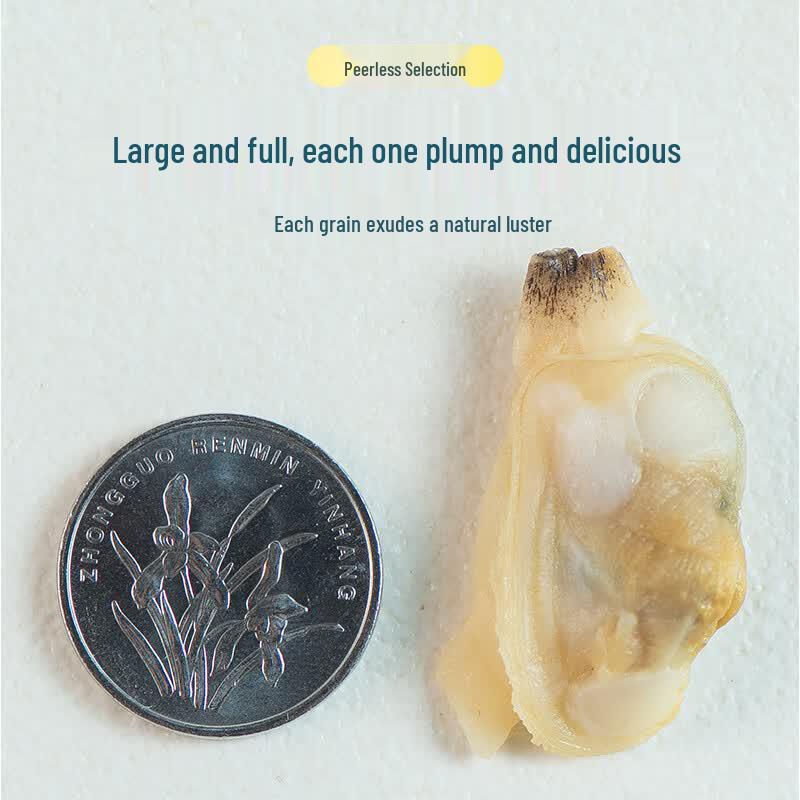 Gaishi Frozen Sand-Free Clam Meat