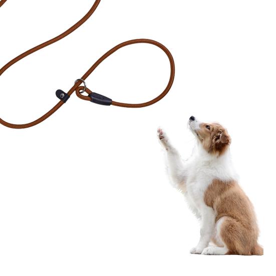 Yousheng Strong Slip Lead Dog Leash Adjustable Loop High-density Nylon Braided Rope Vibrant Color Training Leash for Large Medium Small Dogs