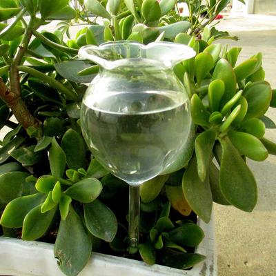 Arroseur automatique d'intérieur en verre pour plantes de jardin, dispositif d'arrosage de fleurs