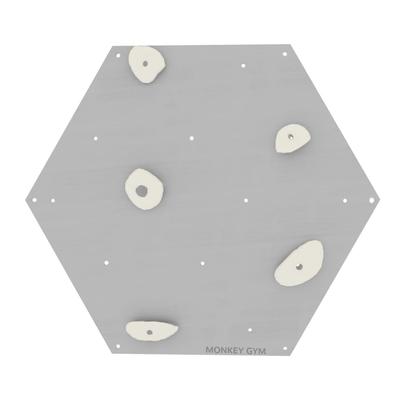 Climbing Wall Cube 1 Grey - White Grips