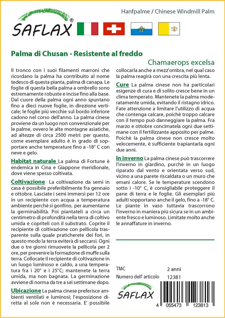 SAFLAX Palma cinese del mulino a vento - 10 semi - Con substrato da vaso per una migliore coltivazione - Chamaerops excelsa
