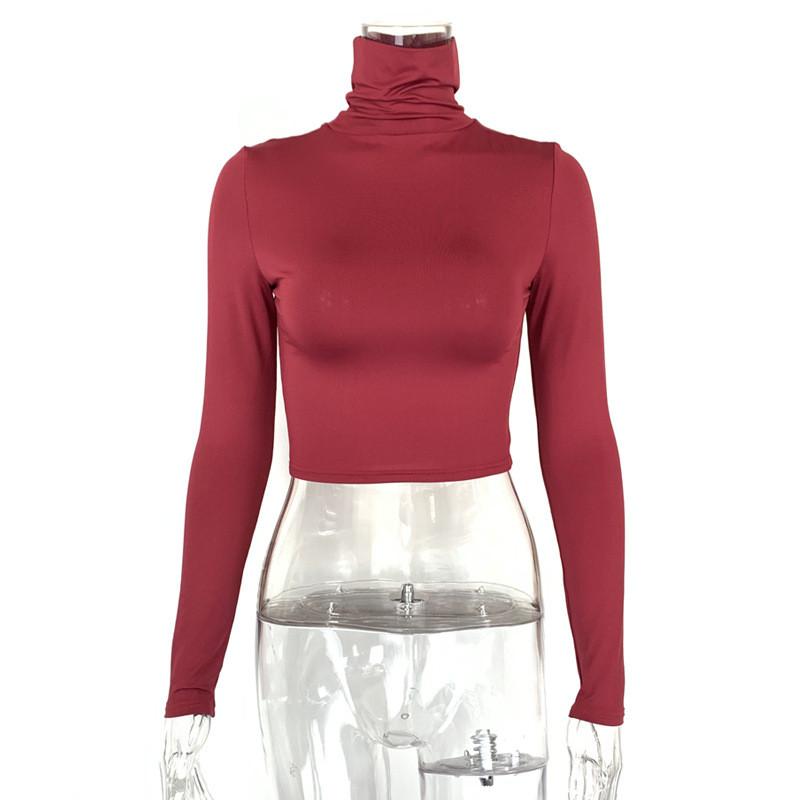 Streetwear T Shirt With High Neck Long Sleeves For Fall Fashion Women