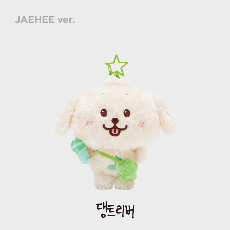 NCT WISH ユウシ WISH DOLL ぬいぐるみ STEADY NCT WISH [LET'S GO STEADY] OFFICIAL MD WISH DOLL - Kpop USA