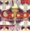 7inch Record GOOD STRAWBERRIES Eyes On A Summer Day MAGS59 MG 1994 UK Dance Electronica Used